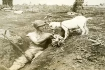 Khoảnh khắc nghỉ ngơi hiếm hoi của những người lính trong Thế chiến II