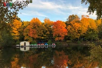 Cảnh sắc Moscow vào thu chuyển vàng như được “rót mật”