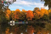 Cảnh sắc Moscow vào thu chuyển vàng như được “rót mật”