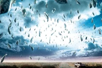 Video: Tại sao người Mỹ tạo ra những "cơn mưa cá"?