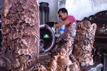 Bật mí những chiêu trò của giới săn gỗ sưa mà không phải ai cũng biết