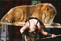 Video: Sư tử xé toạc hàng rào sân khấu, lao ra vồ bé 4 tuổi