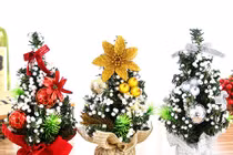 Video: Thông mini hút khách mùa giáng sinh 2018