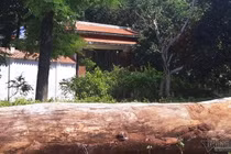 Video: Cổng biệt phủ trăm tỷ xây trái phép của đại gia la liệt gỗ quý