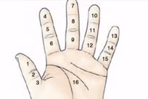Nốt ruồi có trên từng đốt ngón tay tiết lộ điều gì về tính cách bạn?