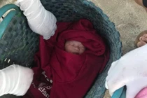 Trẻ sơ sinh bị bỏ rơi, côn trùng cắn chi chít trên mặt