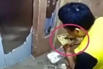 Video: Shipper hồn nhiên ăn vụng thức ăn của khách hàng giữa đường
