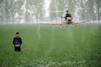 Video: Hành động bất ngờ của anh nông dân khi thấy flycam trên cánh đồng