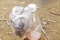 Hai cậu cháu tử vong nghi ngộ độc rượu: Nguyên nhân đầy bất ngờ