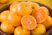 Video: Ông Kim Jong Un chia 200 tấn quýt của Hàn Quốc như thế nào?