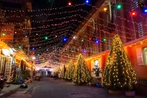 Video: Con đường giáng sinh giống Paris giữa lòng Hà Nội