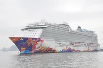 Video: Chiêm ngưỡng tàu du lịch siêu sang ghé thăm Hạ Long