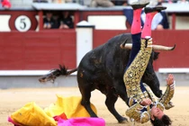 Video: Bò điên tung cước Kungfu đá bay người đi xe máy