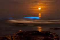 Tận mục những bãi biển tự phát sáng khắp thế giới