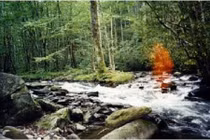 Lạnh sống lưng những bức ảnh chụp hồn ma lơ lửng