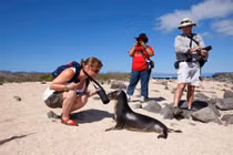 Gặp thú dữ, du khách đừng làm những điều này!