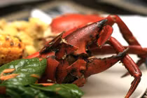 Gợi ý 4 món ngon từ cua biển