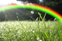 Giải mã ý nghĩa lạ kỳ của giấc mơ thấy mưa 