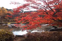 8 điểm ngắm mùa thu đẹp nhất xứ Phù tang 