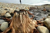 Những bí ẩn lạ lùng tìm thấy sau bão lũ 