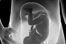 Đẻ con to cẩn thận ung thư vú