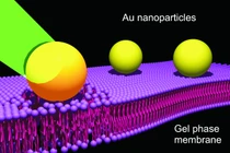 Chống ung thư bằng hạt nano
