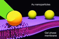 Chống ung thư bằng hạt nano