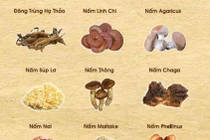 Ung thư có thể phòng ngừa