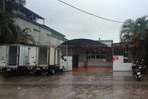 Nghi vấn công ty Hải Hương tuồn rau “bẩn” vào trường học: “Treo đầu dê, bán thịt chó"