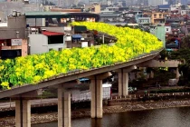 Ngán ngẩm dự án đường sắt trên cao, dân đề xuất trồng hoa cho đỡ lãng phí