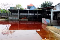 Đóng cửa lò mổ ô nhiễm, máu tụ lênh láng khắp sân