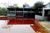 Đóng cửa lò mổ ô nhiễm, máu tụ lênh láng khắp sân