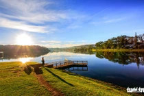 Đà Lạt mơ màng trong 'mùa nắng lạnh' đẹp nhất năm