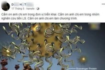 Chữa ung thư bằng nano vàng: Phá nát cơ thể... chết nhanh!