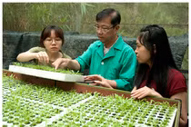 GS.TS Dương Tấn Nhựt người nhân giống thành công nhiều giống hoa Đà Lạt