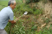 Thảm cảnh tàn phá mộ cổ khổng lồ chứa cả tấn báu vật ở Hải Dương