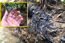 Đã tìm ra nguyên nhân khiến nước máy Hà Nội bốc mùi lạ