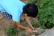 Điều khó tin về ‘cung điện cõi âm’ toàn kho báu dưới lòng đất Hải Dương