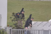 Soi balo vũ khí của lính bắn tỉa hộ tống Tổng thống Trump bảo vệ khách sạn Marriott