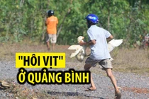 Ảnh: Những vụ “hôi của” đáng xấu hổ của người Việt 