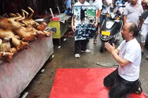 Giải mã phố thịt chó Nhật Tân biến mất bí ẩn