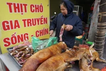 Ngôi làng ở Hà Nội ăn 4 tấn thịt chó trong ngày Tết