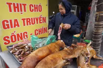 Ngôi làng ở Hà Nội ăn 4 tấn thịt chó trong ngày Tết