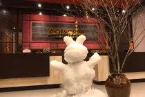 Ảnh: Mưa băng lã chã ngỡ tuyết rơi, phủ trắng đường lên đỉnh Fansipan