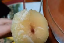 Bệnh nhân suy đa tạng sau ăn mía, vứt bỏ ngay nếu có dấu hiệu này