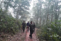 Những người đón Tết đặc biệt giữa... rừng