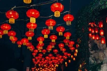 Dự đoán tài vận của người tuổi Hợi trong năm mới