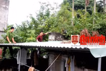 Kẻ trộm mộ bước ra ánh sáng và cuộc sống “bất hảo” với 4 người phụ nữ