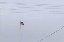 Nóng: Lính đánh thuê giương cao cờ Mỹ ở ngoại ô Donetsk