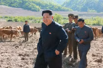 Hình ảnh lãnh đạo Kim Jong-un thị sát trại chăn nuôi